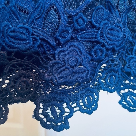 Francesca’s Blue Rain Navy Lace Mini Dress - Picture 13 of 16